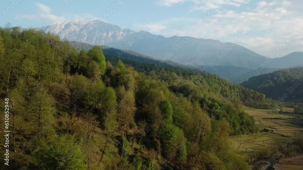 Old firm tender tree fresh green color of the year in wild forest park in local people life village rural country district landscape of Damavand mountain Fuji in forest scenic wide view paper health Old firm tender tree fresh green color of the year in wild forest park in local people life village rural country district landscape of Damavand mountain Fuji in forest scenic wide view paper health