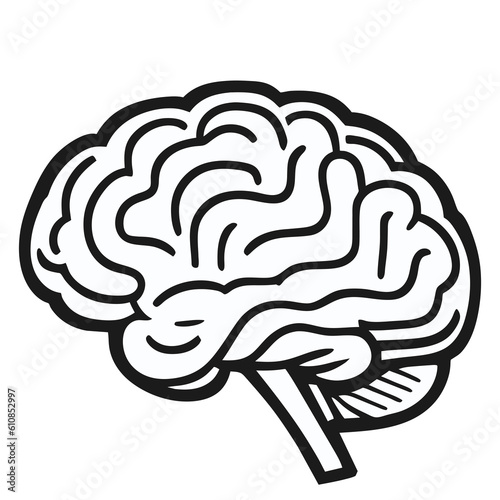 Human Brain on the White Background. Hand Drawn.Vector Illustration. Outline of a brain on the white background