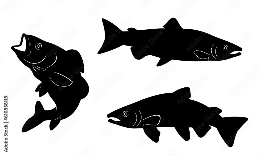 Obraz premium set of salmon vector