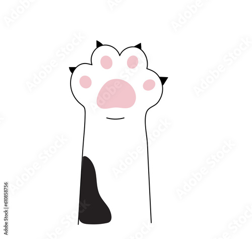 cat paws