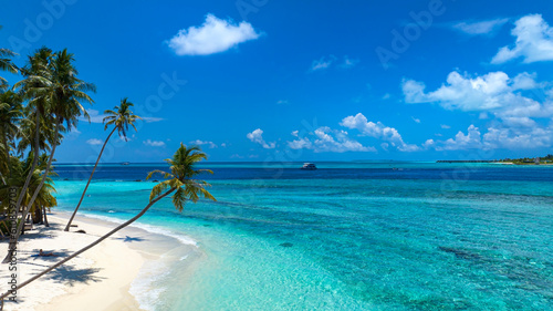 Fototapeta Naklejka Na Ścianę i Meble -  Summer palm tree as the Tropical beach with blue  sky background