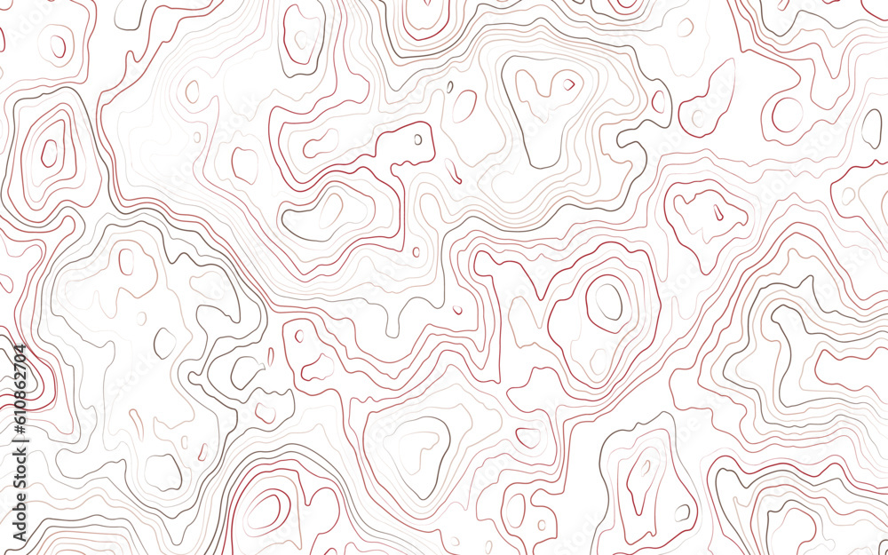 The concept of a conditional geography scheme and the terrain path. Pink contour lines on white background