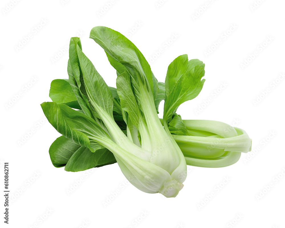 Bok choy (chinese cabbage) isolated on transparent png Bok choy (chinese cabbage) isolated on transparent png