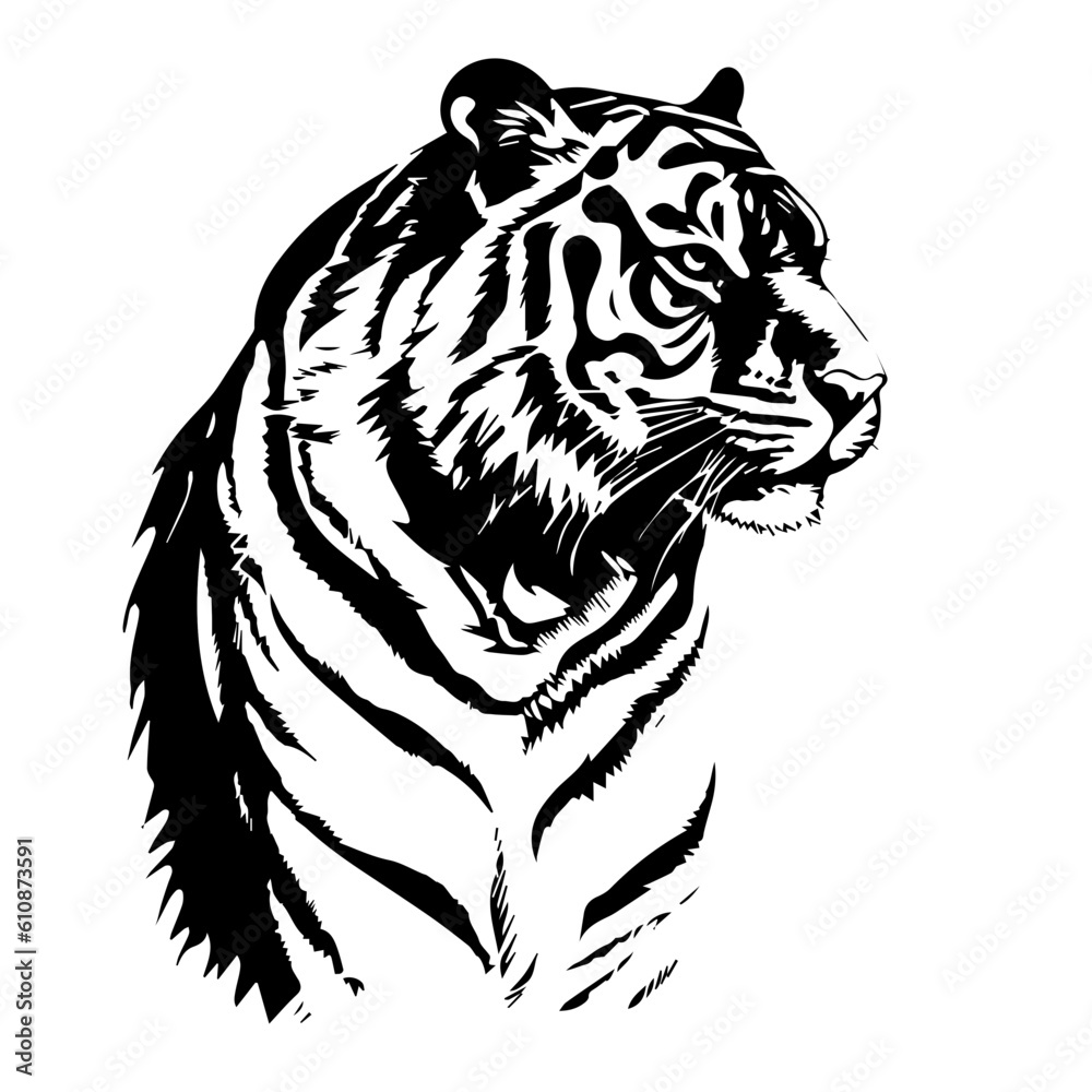 tiger animal images tiger animal images