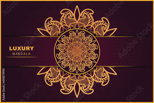 Luxury vector ornamental circle mandala design background