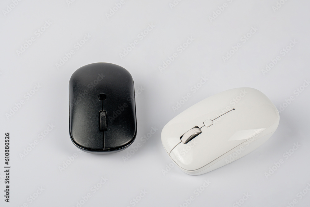 A black and white mouse isolated on white background A black and white mouse isolated on white background