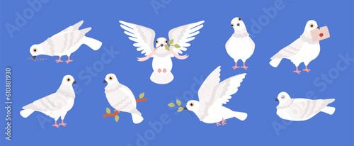Set of white pigeons in various poses flat style, vector illustration