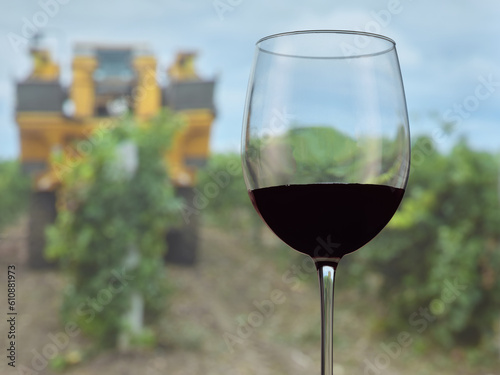 Red wine glass amidst harvest