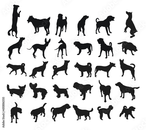 Sketch of black silhouettes of dogs in poses. Outline of pets go, standing, running, jumping, training, walking, guarding, posing, play, showing