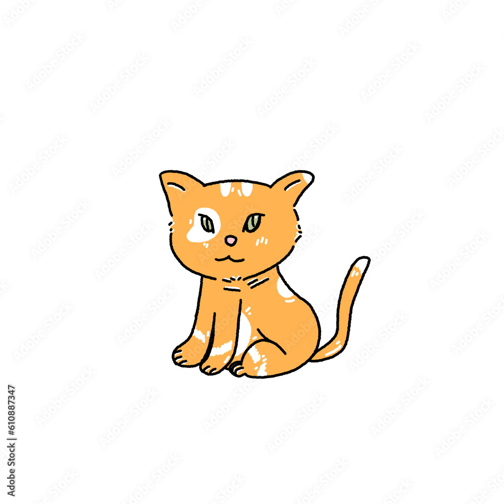 Kitten Kitten