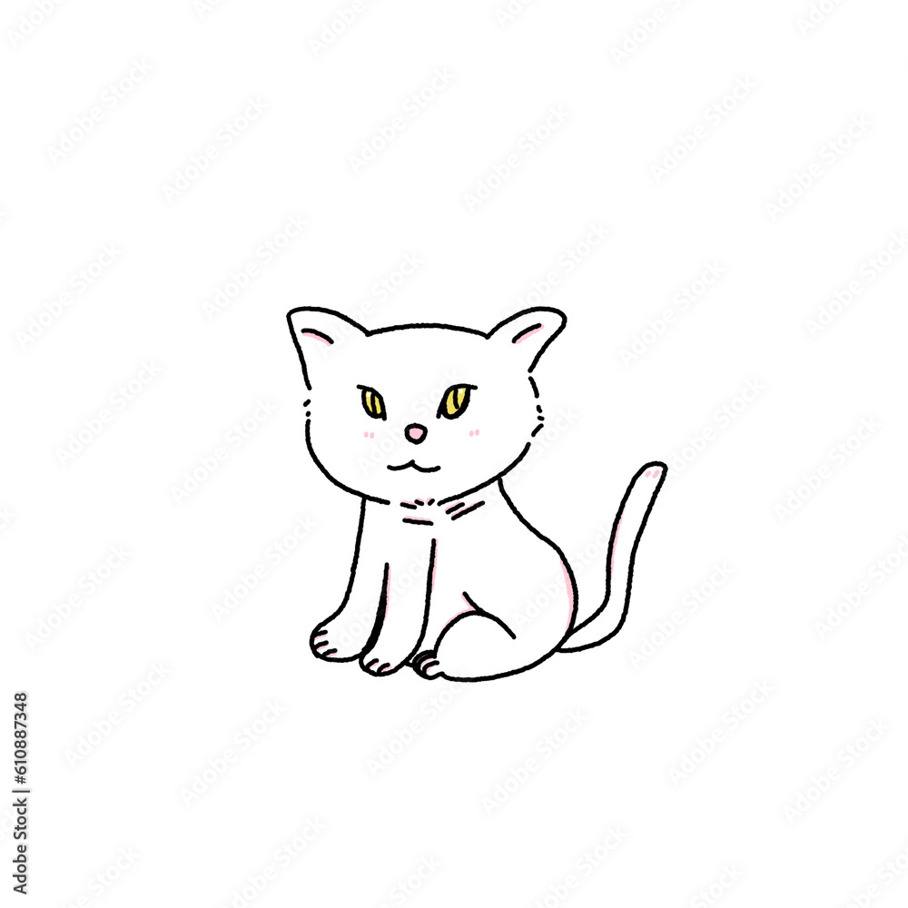 Kitten Kitten