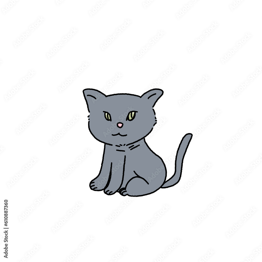 Obraz premium Kitten