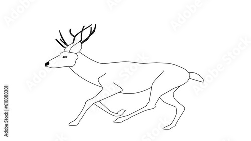 2d Hand Drawn Animation Of A Running Deer