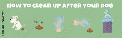Dog poo clean up steps infographic set. Vector poster about hygiene animal, toilet cleaning information after your dog.