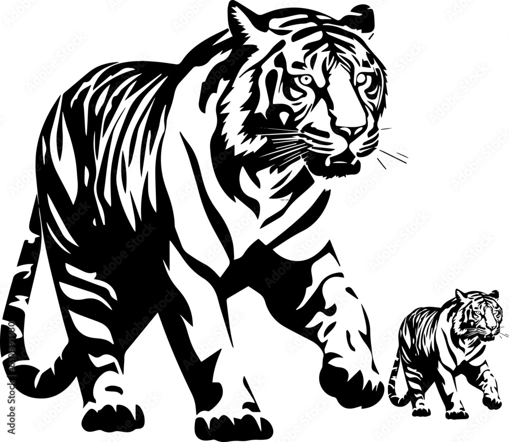 Obraz premium tiger animal images