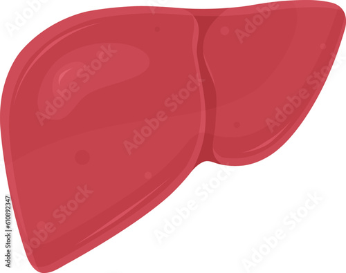 color vector illustration of liver, internal organs, vitamin a