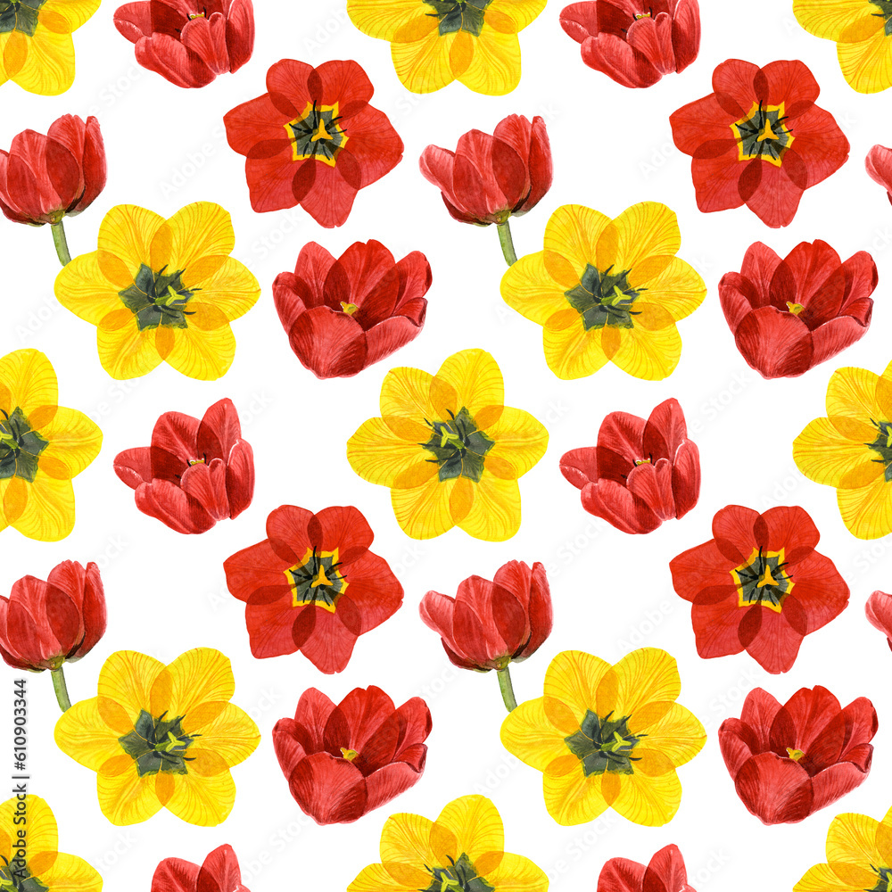 Seamless pattern of watercolor yellow and red tulip flowers. Hand drawn illustration. Botanical hand painted floral elements on white background.