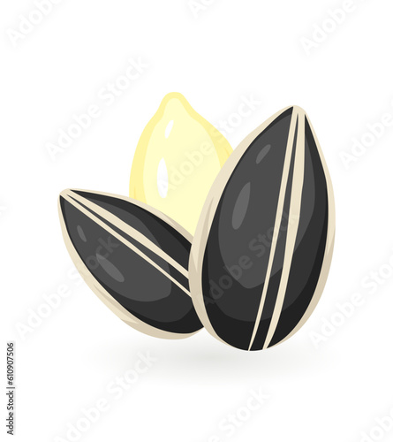 Realistic cartoon sunflower seed icon. Colorful vector illustration. Plant icon isolated on white background.