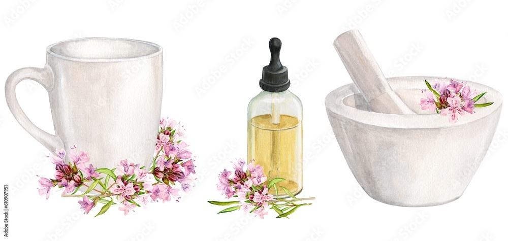 White mortar for chopping herbs and thyme flowers, ceramic mug, aromatic oil. Watercolor illustration. Preparation of herbal tea, tonic. The concept of herbal medicine, laboratory or label design. White mortar for chopping herbs and thyme flowers, ceramic mug, aromatic oil. Watercolor illustration. Preparation of herbal tea, tonic. The concept of herbal medicine, laboratory or label design.