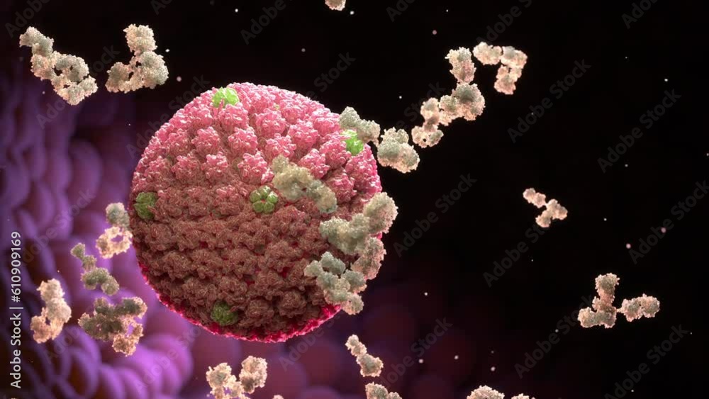 Herpes virus and antibodies, Viral infection. 3d animation Stock 비디오