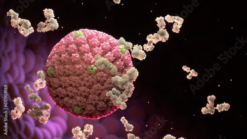 Herpes virus and antibodies, Viral infection. 3d animation