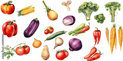 Set of watercolor mixed vegetables Easy to draw, white background 