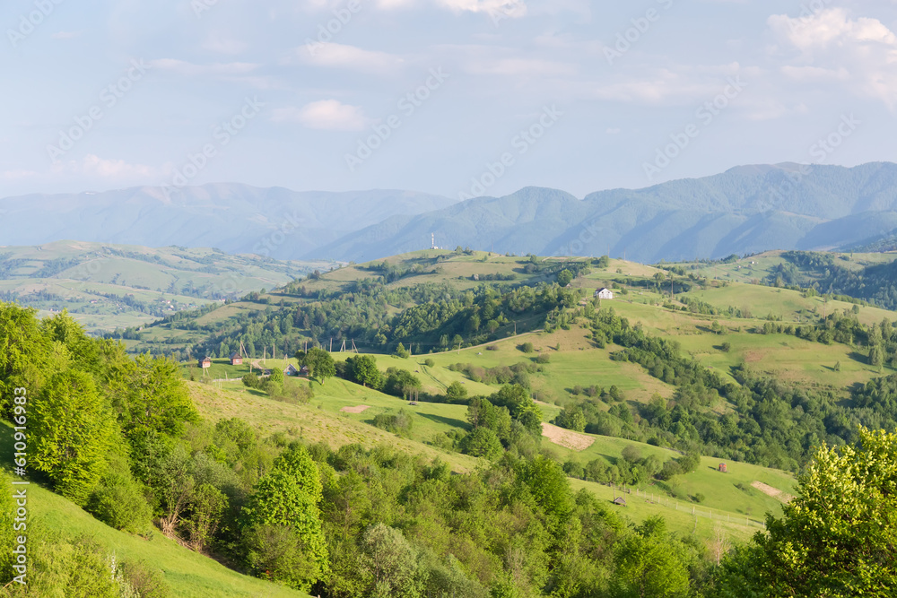 Mountain meadows on ridges in sunny windy weather in Carpathians