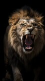 Portrait of a male lion with open mouth on a black background. Generative AI