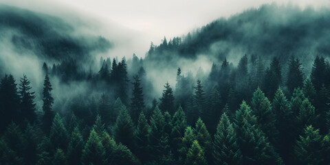 Leinwandbilder Motivwelten Misty landscape with fir forest in vintage retro style. Generative AI  © AngrySun