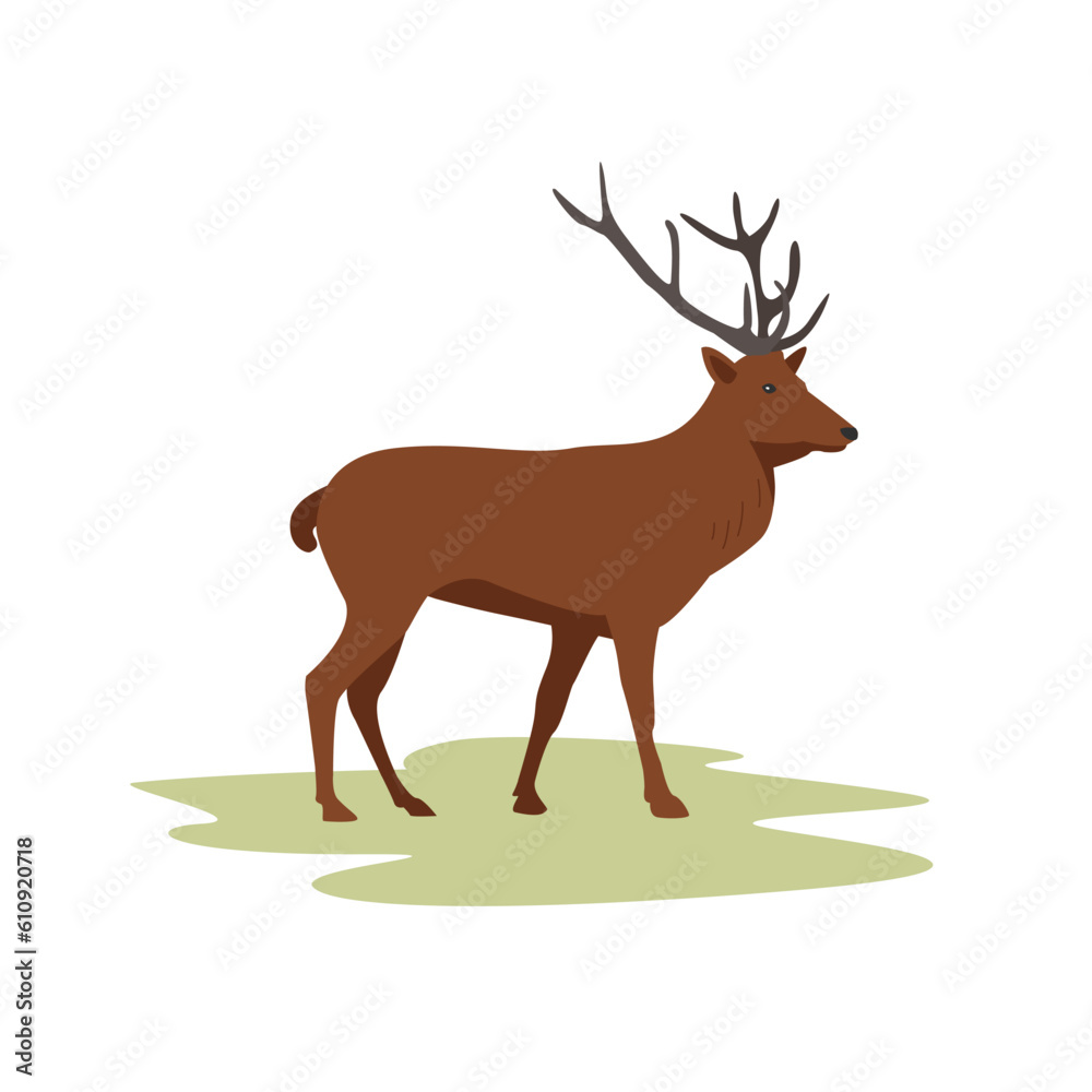Fototapeta premium Wild forest deer with antlers stands on the lawn. Flat minimalistic deer graphic. Vector illustration