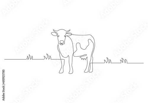 Continuous one line drawing of a cow vector illustration. Cow isolated on a white background. Premium vector.