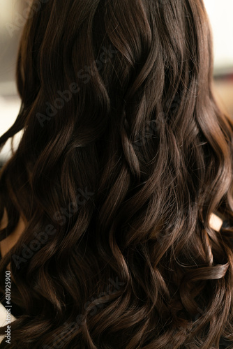 Back view of a bunch of brown curls hair.
