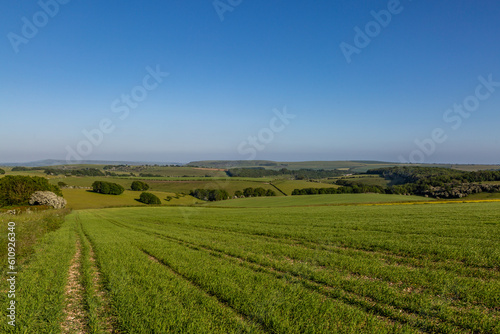 Green farmland in Sussex with a blue sky overhead