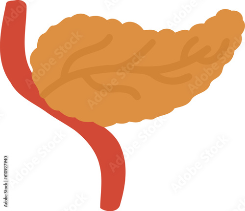 Human Pancreas Organ