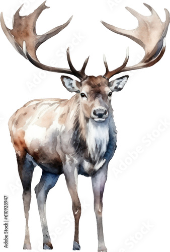 Caribou Deer Watercolor Illustration. Generative AI