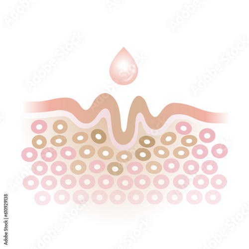 Drop the skincare to the lines and wrinkles on the skin surface vector illustration isolated on white background. Cross section of wrinkles and skincare reduce aging and damaged skin.