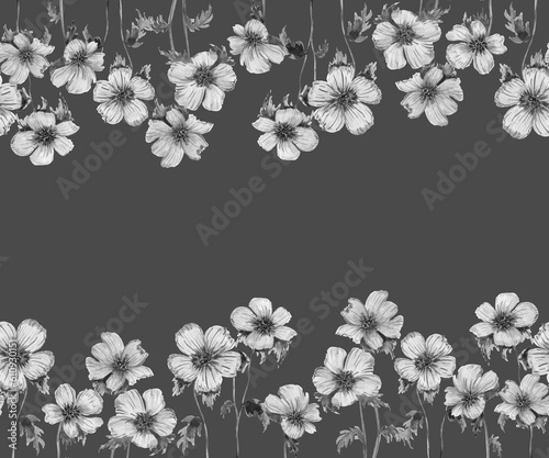 Horizontal seamless border of spring anemone flowers. Graphic monochrome botanical elements. Frame of plants hand drawn in watercolor on a gray background. Postcard, banner design