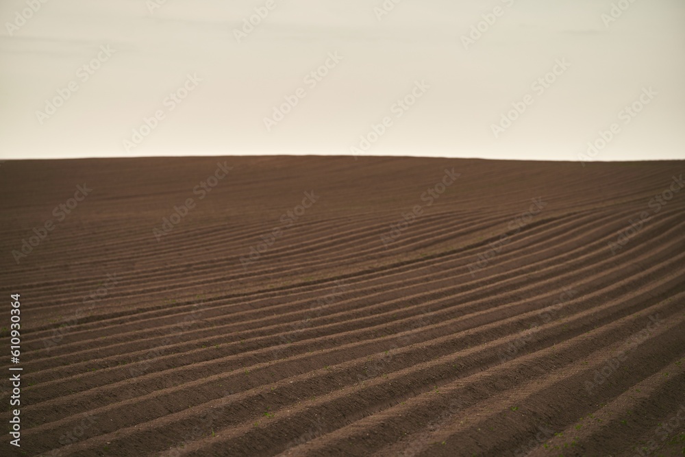 Naklejka premium Agricultural land under a beautiful sky at sunrise. Rural areas and countryside in the morning.
