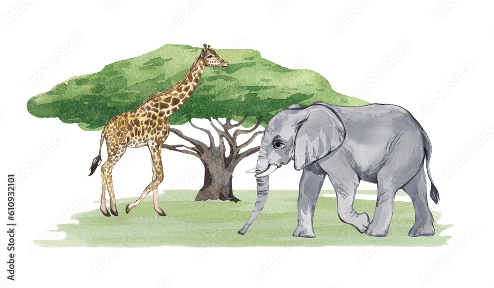 Fototapeta premium Watercolor composition with African animals on a white background. Elephant and giraffe on safari. Print for printing and design of children's products, books, children's room, baby picture.