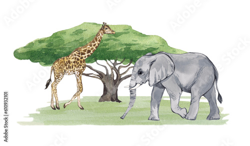 Watercolor composition with African animals on a white background. Elephant and giraffe on safari. Print for printing and design of children's products, books, children's room, baby picture.