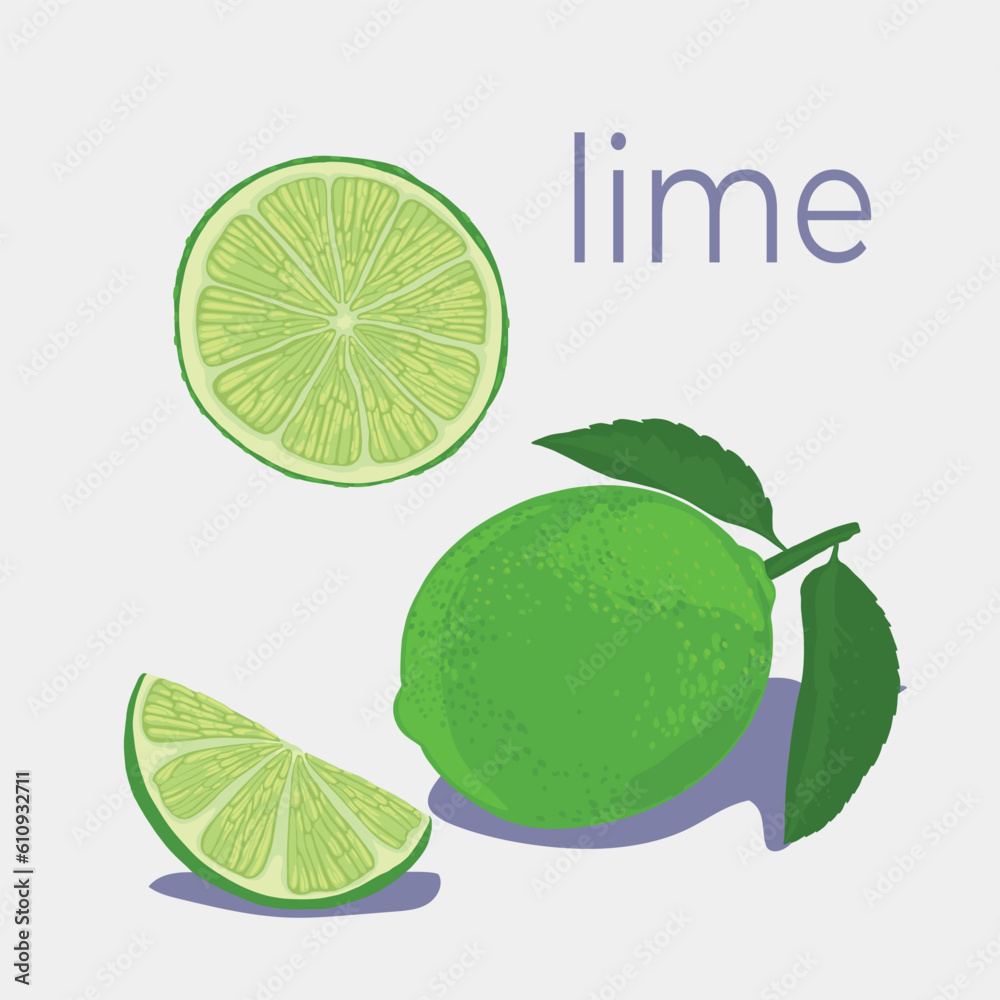 Lime. Green, yellow colors. Vertical composition of stylized berries with leaves and slices on a white background.
