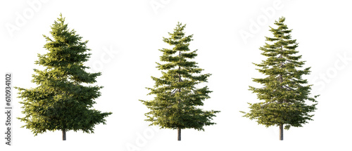 isolated, cutout, hires pine tree, day light, sun, best for parking landscape design, best for render visualisation, post production and compositing.