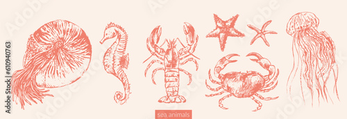 Vector sea animals illustration