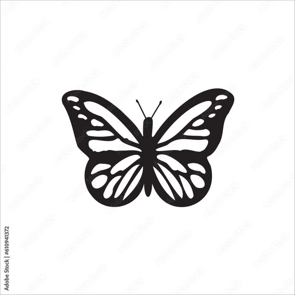 Vector butterfly on isolated background, butterfly illustration with open wings Vector butterfly on isolated background, butterfly illustration with open wings