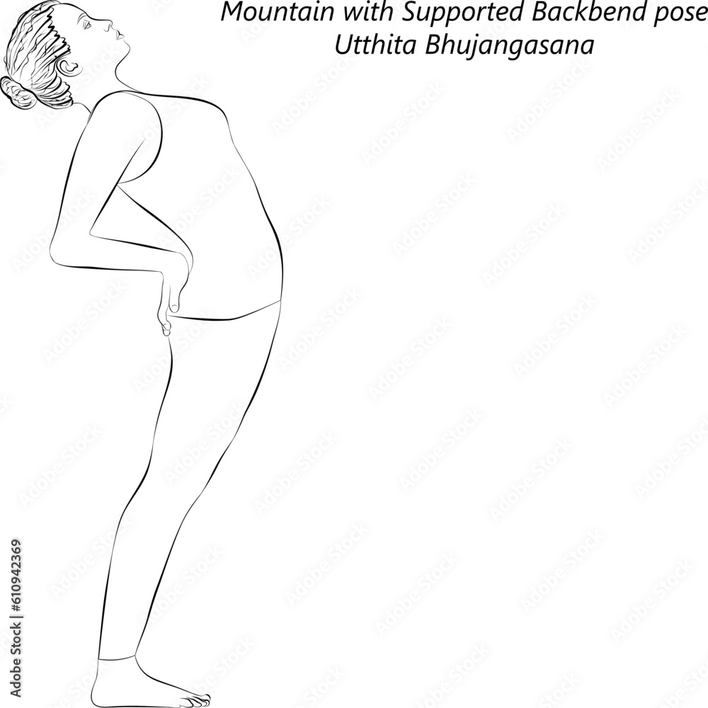 Naklejka premium Sketch of young woman practicing yoga, doing Mountain with Supported Backbend pose or Standing Cobra pose. Utthita Bhujangasana. Vector illustration isolated on transparent background.