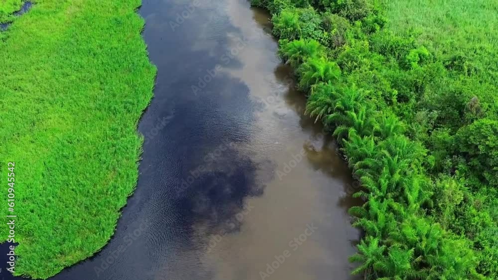 miranda river meets toro river in the pantanal miranda river meets toro river in the pantanal