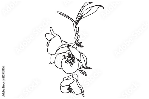 a blossoming tree branch is drawn in black outline, it is intended for print, postcard, tattoo, logo, March 8, Valentine and you can use it in different cases.
