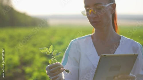 Agronomist professional botanist woman with tablet on farm checks plants growth collects data. Scientist conducts research of plant cultivation. Female on agricultural field holding sprout in hands.