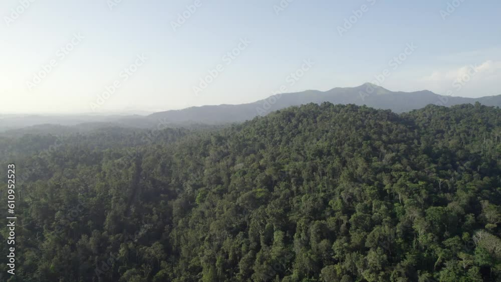 The area of Kodagu is surrounded by hills and Lush green The area of Kodagu is surrounded by hills and Lush green