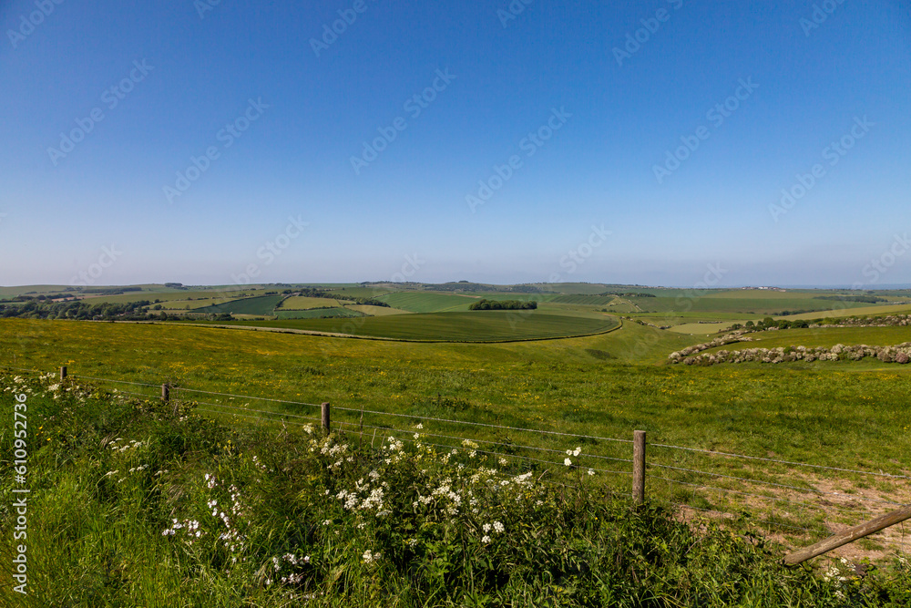 A rural South Downs view near Falmer in Sussex, with a blue sky overhead